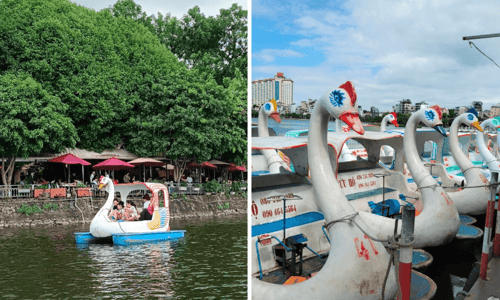 Không Gian Bình Yên: Đạp Vịt Hồ Tây Và Những Cảm Nhận Khó Quên