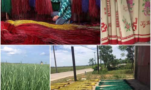 Nghề dệt chiếu - Hồn cốt và niềm tự hào của người dân An Xá