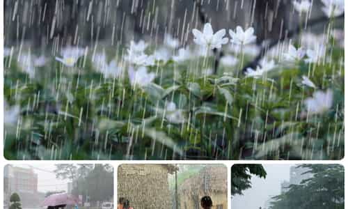 CƠN MƯA ĐẦU MÙA - HƠI THỞ CỦA ĐẤT TRỜI GIA LAI