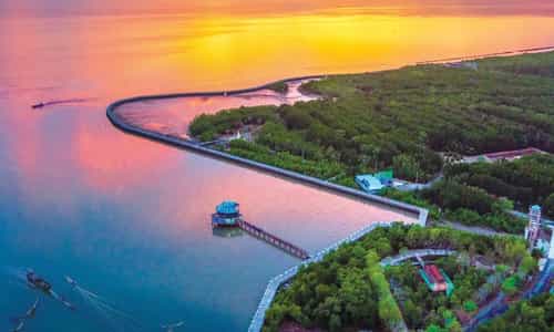 Khám phá Cà Mau: Thiên nhiên đa dạng và văn hóa phong phú