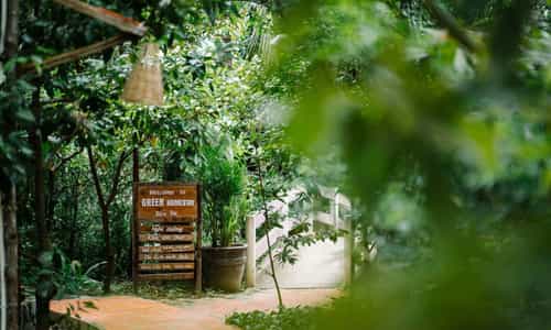 KHÁM PHÁ HOMESTAY PHONG CÁCH CỰC CHILL CHO NHỮNG AI THÍCH CHỮA LÀNH