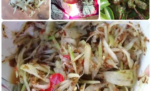 GỎI KIẾN VÀNG ĐU ĐỦ - MÓN ĂN DÂN DÃ VÀ LẠ MIỆNG