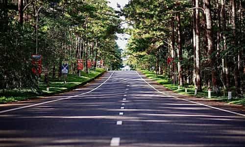 MĂNG ĐEN- "ĐÀ LẠT" THU NHỎ GIỮ LÒNG TÂY NGUYÊN