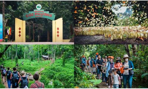 Vườn Quốc Gia Cúc Phương – Hành Trình Hòa Mình Vào Thiên Nhiên Hoang Dã