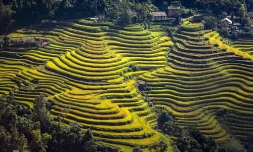 Ruộng bậc thang Hoàng Su Phì mùa nước đổ
