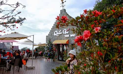 Bật mí những địa điểm check in tuyệt vời tại Tam Đảo - Thị Trấn Mờ Sương