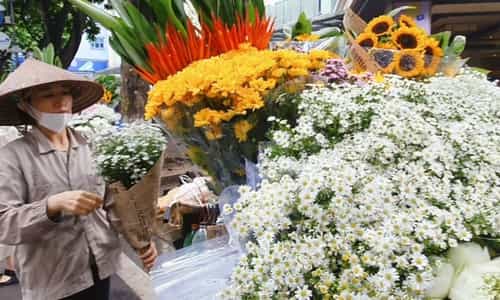 PHỐ PHAN ĐÌNH PHÙNG – SẮC XANH GIỮA TRỜI HÀ NỘI