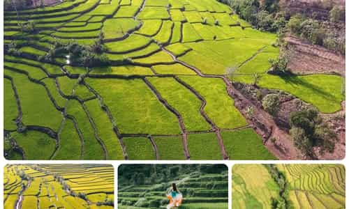 RUỘNG BẬC THANG ĐAK TƠ PÊ - GIA LAI
