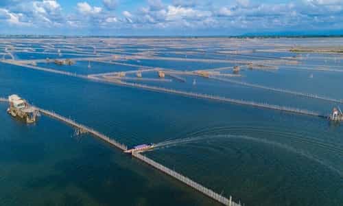 Lạc Vào Đầm Cầu Hai – Một Kỳ Quan Thiên Nhiên Tại Huế
