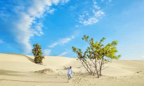 Top 8 địa điểm du lịch tại Ninh Thuận bạn không thể bỏ qua khi tới đây