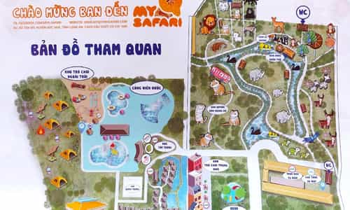 Mỹ Quỳnh Safari - Điểm Đến Thú Vị Cho Mọi Lứa Tuổi