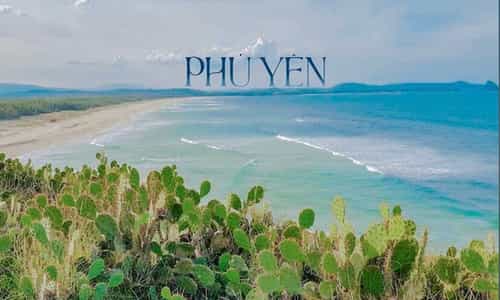 Bãi Xép's beauty in the land of "yellow flowers on green grass" Phu Yen.