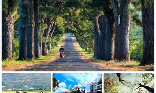 VẺ ĐẸP DỊU DÀNG CỦA MÙA THU GIA LAI