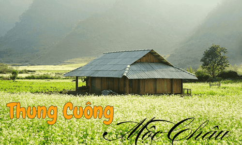 Kinh nghiệm khám phá Bản Thung Cuông ở Mộc Châu