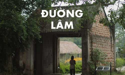 From Hanoi to Heritage: A Day in Duong Lam Ancient Village