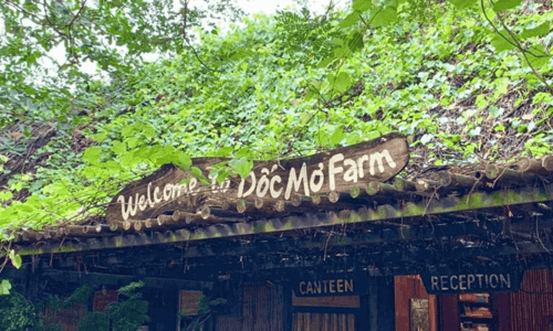 Đến Dốc Mơ Farm ở Đồng Nai: Trải nghiệm cuộc sống miền quê bình dị, tạm xa rời "khói bụi" thị thành