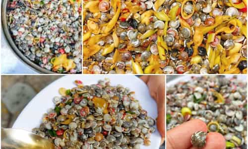 Ốc ruốc - Đặc sản Quảng Bình