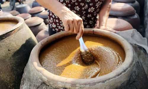 Khám Phá Làng Tương Truyền Thống Tạo Nên Hương Vị "Tương Bần" Trứ Danh Tại Hưng Yên