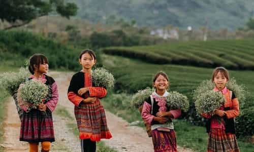 Mộc Châu - Tiếng gọi mùa yêu