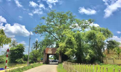 Một Ngày Trở Về Quá Khứ Với Hành Trình Khám Phá Làng Cổ Đường Lâm