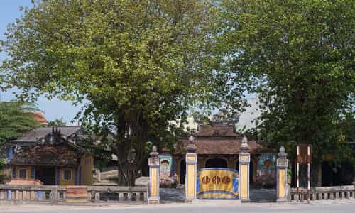 Phố Cổ Bao Vinh: Vẻ Đẹp Trăm Năm Và Những Câu Chuyện Đầy Màu Sắc