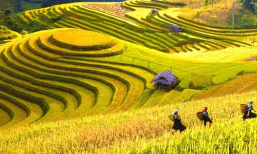 Mai Châu - Nàng thơ Tây Bắc, chốn bình yên giữa cuộc sống tấp nập