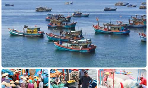 HÌNH ẢNH KHÁNH HÒA KHI NHỮNG CHIẾC THUYỀN ĐÁNH CÁ TRỞ VỀ