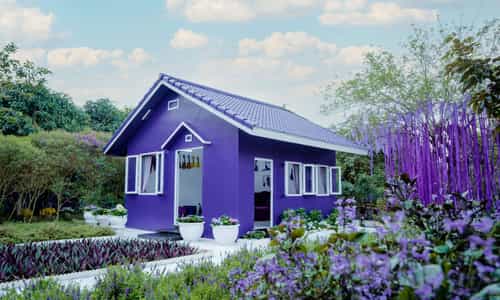 Độc lạ căn nhà “tím lịm tìm sim” thu hút khách đến Cần Thơ tham quan
