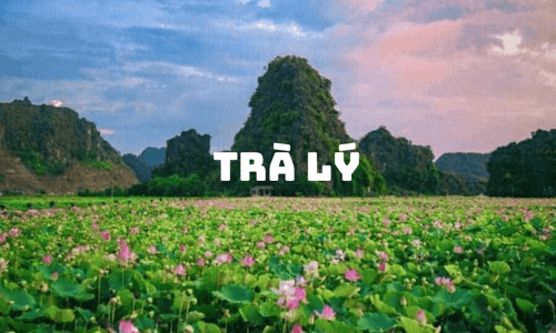Tra Ly - 자연과 함께 힐링하세요