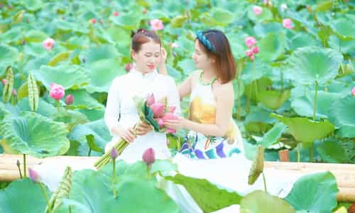 Chụp sen tại đầm Khả Phong Hà Nam có gì đặc biệt?