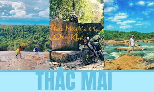 Thác Mai: Viên Ngọc Ẩn Giữa Mai Nở Trắng Trời Rừng Sâu