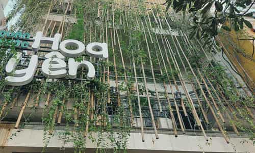 Đắm chìm quán cà phê an nhiên chữa lành ngay giữa lòng thành phố