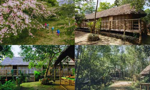 Có Gì Đặc Biệt Ở Làng Du Lịch Tà Lài Mà Ai Ai Cũng Muốn Khám Phá?
