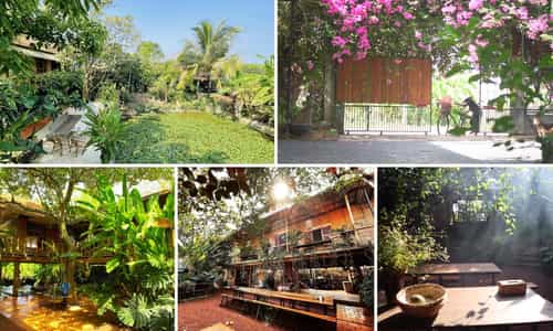 Bà Đất Eco Homestay: Trạm dừng cho tâm hồn giữa thiên nhiên Đồng Nai