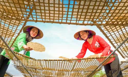 Sự Hấp Dẫn Không Thể Cưỡng Lại Từ Những Chiếc Bánh Đa Điềm Giang Tại Làng Nghề Truyền Thống