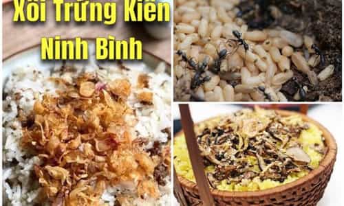 Trải Nghiệm Đặc Sản Xôi Trứng Kiến – Hương Vị Dân Dã Của Ninh Bình