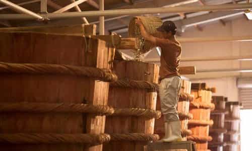 Khám Phá Nhà Thùng Nước Mắm Và Bí Quyết Tạo Nên Đặc Sản Trứ Danh Đảo Ngọc