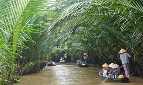Experience the eco-tourism area in the West - Con Phung Island.
