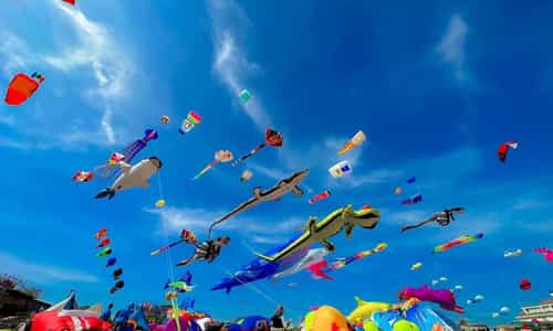 Ngày hội thả diều khổng lồ tại Phước Hải sắp diễn ra