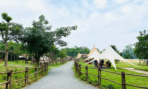 TreeFarm Coffee & Glamping – Địa điểm cắm trại hấp dẫn cho ngày cuối tuần tại Hà Nội