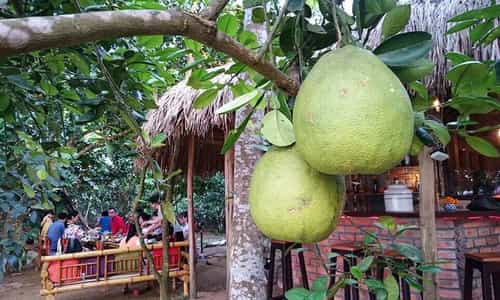 Hành Trình Về Thủy Biều: Bước Chậm Lại, Thả Hồn Cùng Làng Quê Huế