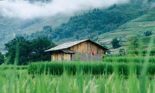 Bản Ta Van - Điểm Đến Hoàn Hảo Cho Những Tâm Hồn Yêu Thiên Nhiên