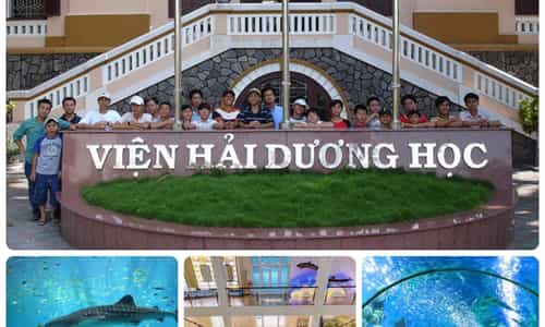 KHÁM PHÁ ĐẠI DƯƠNG KỲ DIỆU TẠI VIỆN HẢI DƯƠNG HỌC NHA TRANG