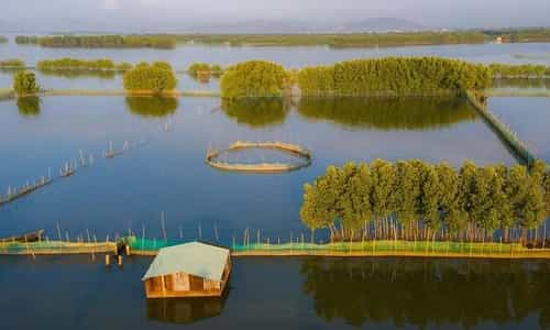 Khám phá đầm Thị Nại: Bí mật ẩn giấu giữa lòng thiên nhiên hoang sơ