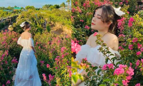 Thả Mình Giữa Biển Hoa Tại Vườn Hoa Phương Linh – Chốn Yên Bình Giữa Hà Nội Náo Nhiệt
