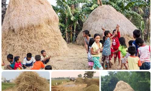 ĐỐNG RƠM VÀNG VÀ KÝ ỨC TUỔI THƠ