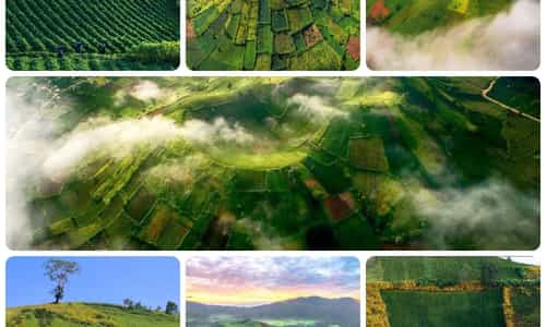 VẺ ĐẸP HOANG SƠ CỦA NÚI LỬA CHƯ ĐĂNG YA