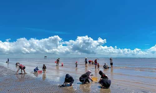 TOP những địa điểm không thể bỏ lỡ khi đến Cần Giờ