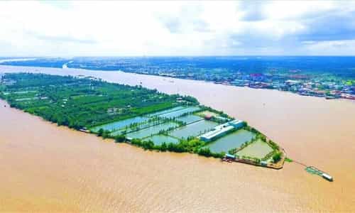 Khám Phá Khu Du Lịch Cồn Sơn: Trải Nghiệm Ẩm Thực Dân Gian Giữa Lòng Sông Hậu