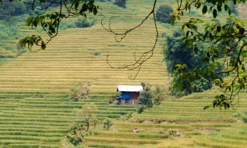 Trải Nghiệm Tuyệt Vời Tại Nậm Cang: Thiên Nhiên, Ẩm Thực Và Văn Hóa